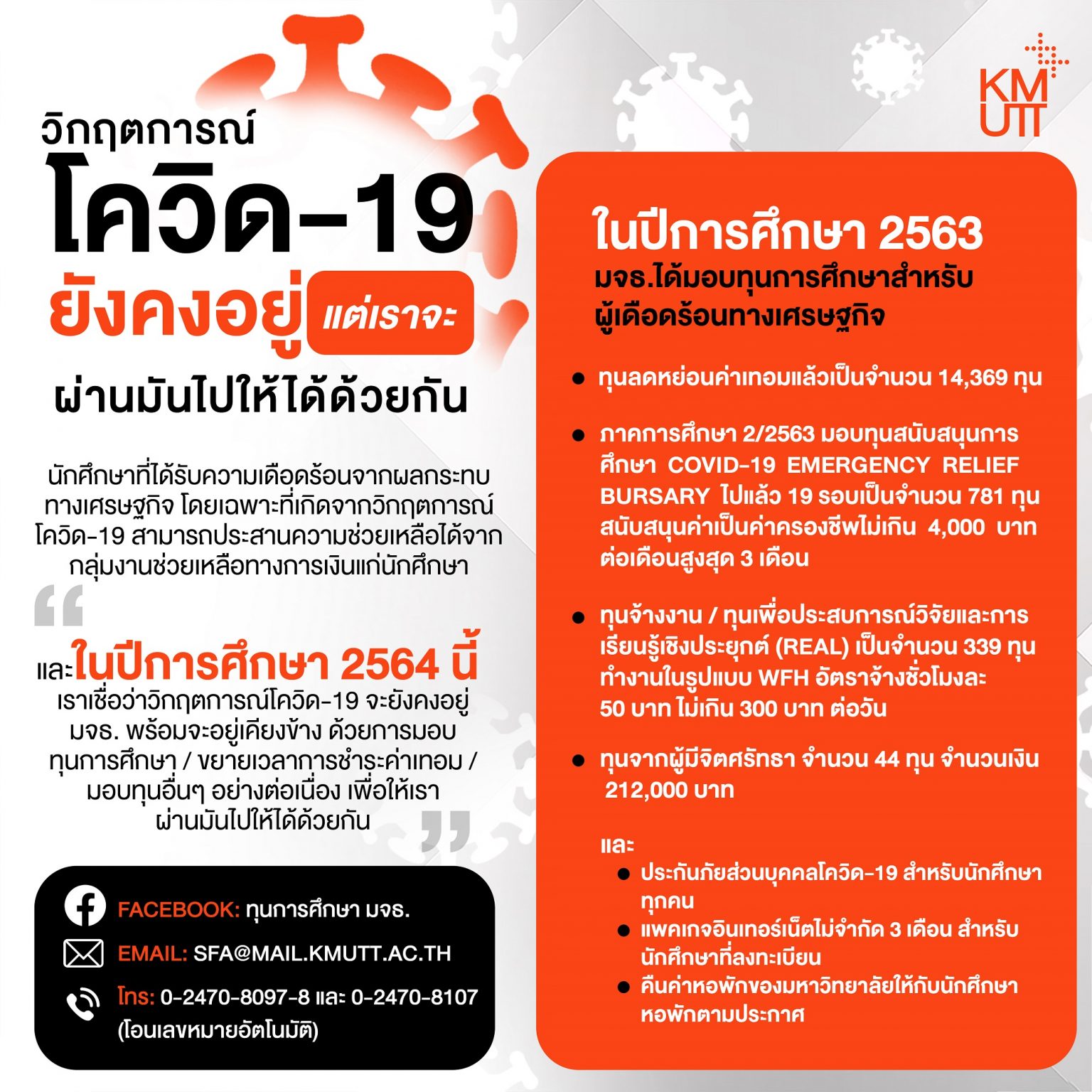 My Image 24