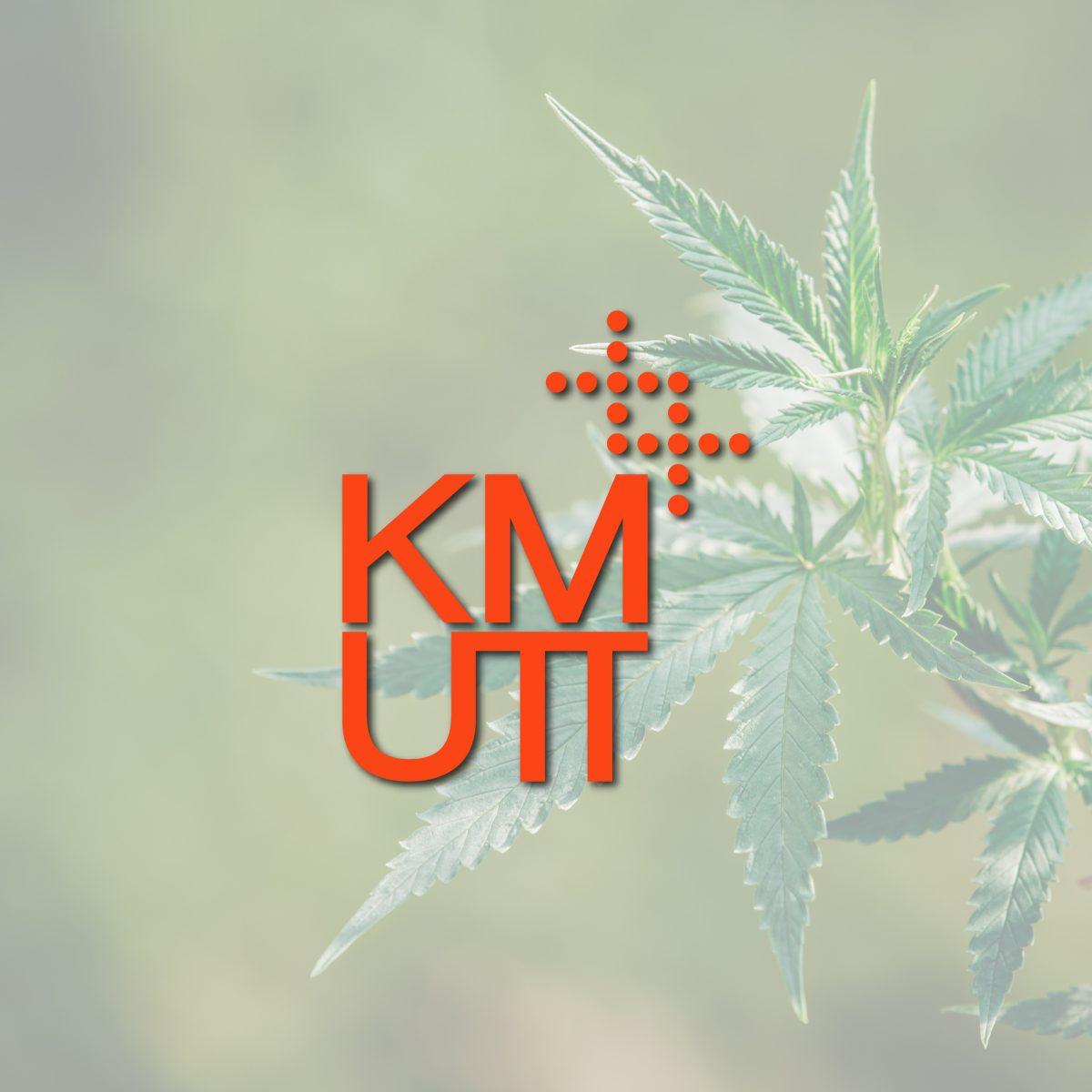 Announcement of KMUTT Sale, Advertising and Consumption Restriction on Food and Beverages Containing Cannabis or Hemp at University and the Venue for University-Related Activities Outside the University in B.E. 2565 (2022)