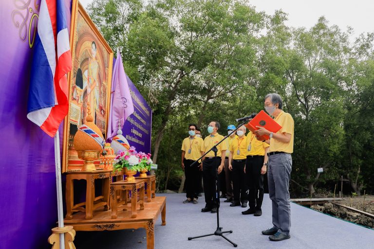 มจธ. จัดกิจกรรมปลูกป่าชายเลนเฉลิมพระเกียรติ เนื่องในโอกาสวันเฉลิมพระชนมพรรษา สมเด็จพระนางเจ้าฯ พระบรมราชินี