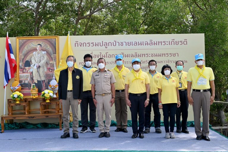 มจธ. จัดกิจกรรมปลูกป่าชายเลนเฉลิมพระเกียรติ เนื่องในโอกาสวันเฉลิมพระชนมพรรษา พระบาทสมเด็จพระเจ้าอยู่หัว