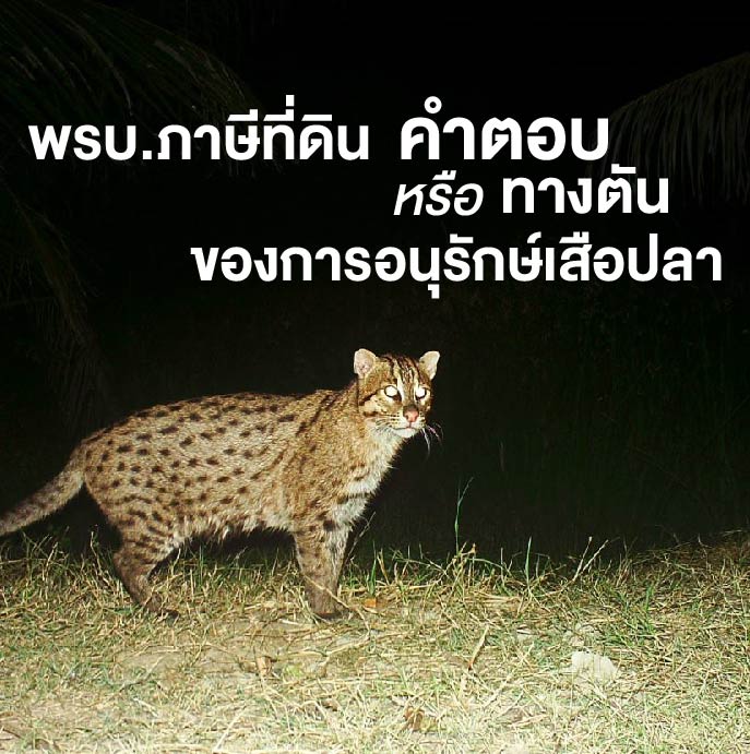พรบ.ภาษีที่ดิน คำตอบหรือทางตันของการอนุรักษ์เสือปลา