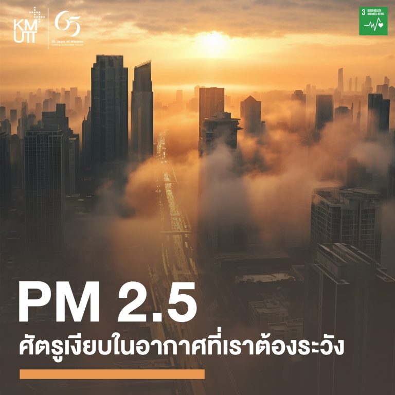 PM 2.5: ศัตรูเงียบในอากาศที่เราต้องระวัง 
