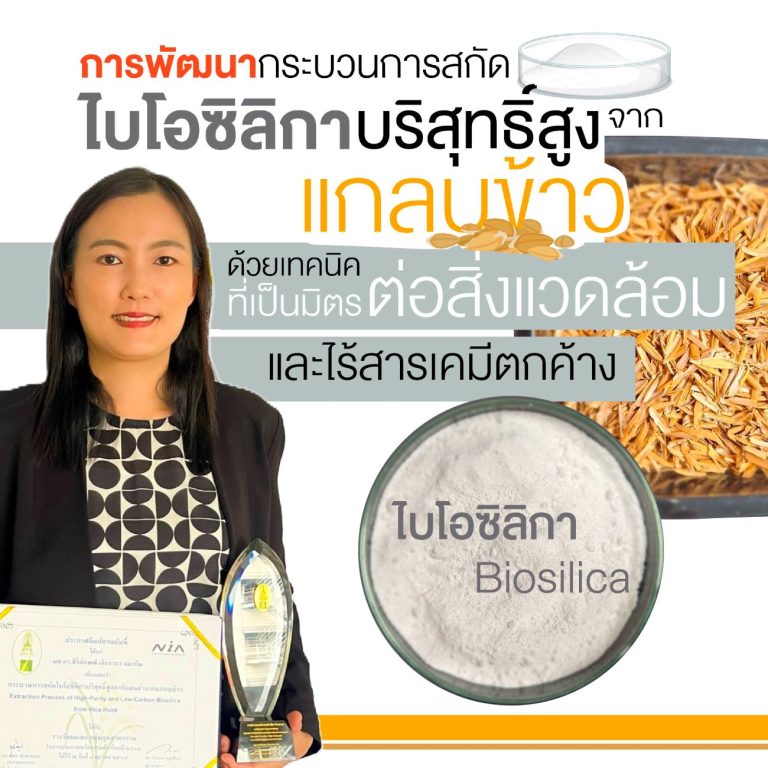 มจธ. คิดค้น “นวัตกรรมการผลิตซิลิกาด้วยเทคโนโลยีชีวภาพ” ต้นทุนต่ำ คุณภาพสูง พร้อมพลิกโฉมอุตสาหกรรมไทย