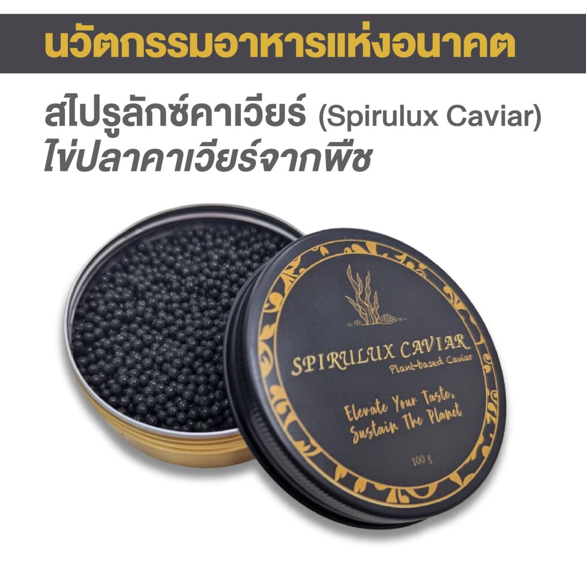 “ไข่ปลาคาเวียร์จากพืช” นวัตกรรมอาหารแห่งอนาคต ฝีมือนักศึกษา มจธ. คว้าเหรียญทองระดับชาติ พร้อมลุยต่อตลาดโลก